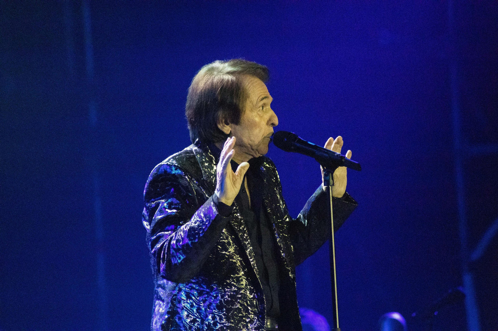 La gran noche de Jaén. Así fue el antes y después del regreso de Raphael a Jaén capital