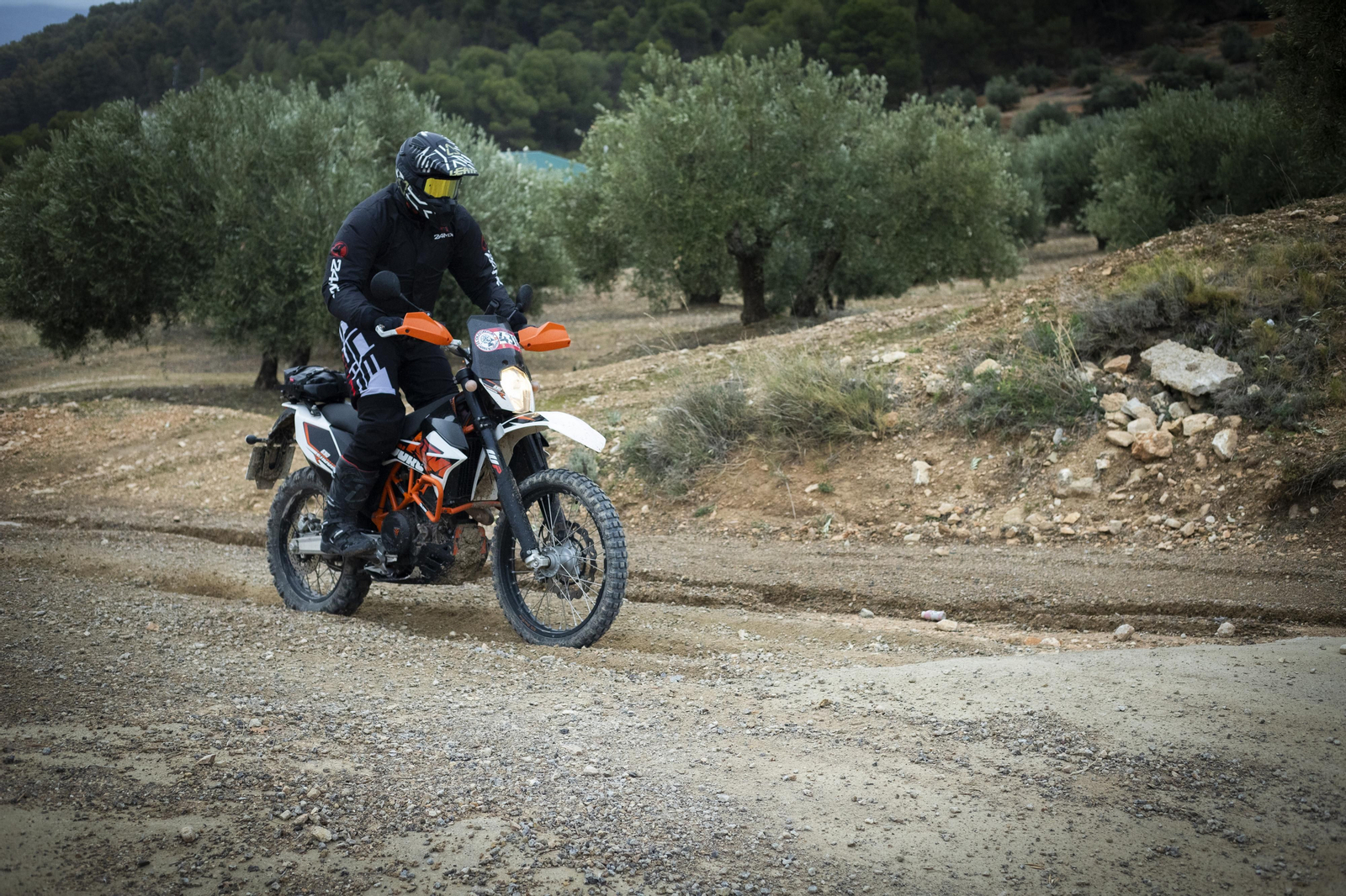 ¿Estuviste en la tercera edición de la ruta Olivobook? Búscate