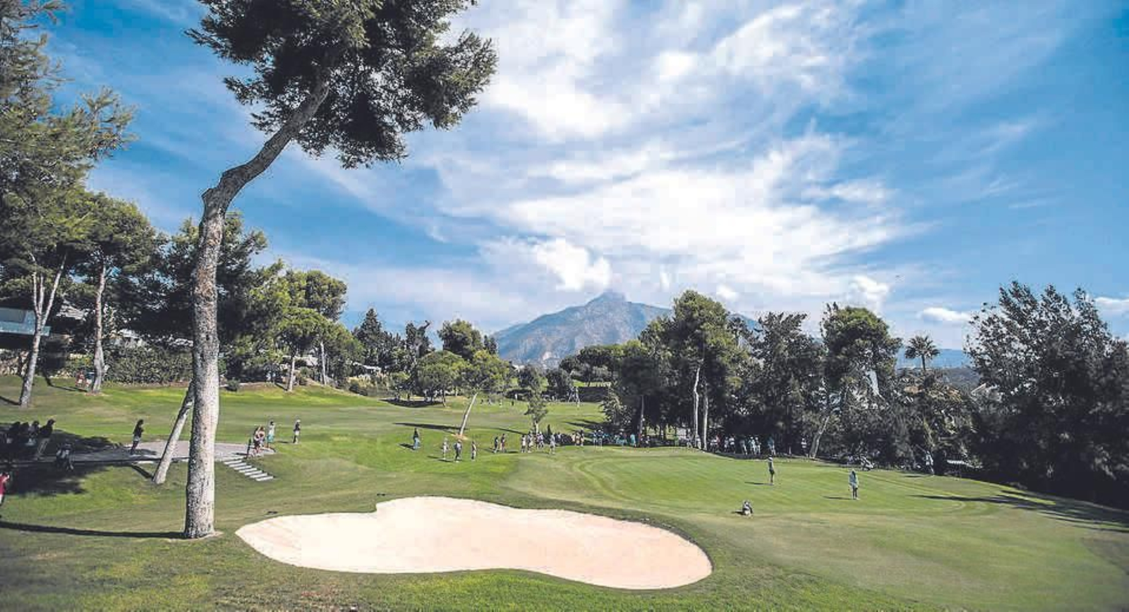 Green del hoyo 7 del club Aloha golf en Marbella.