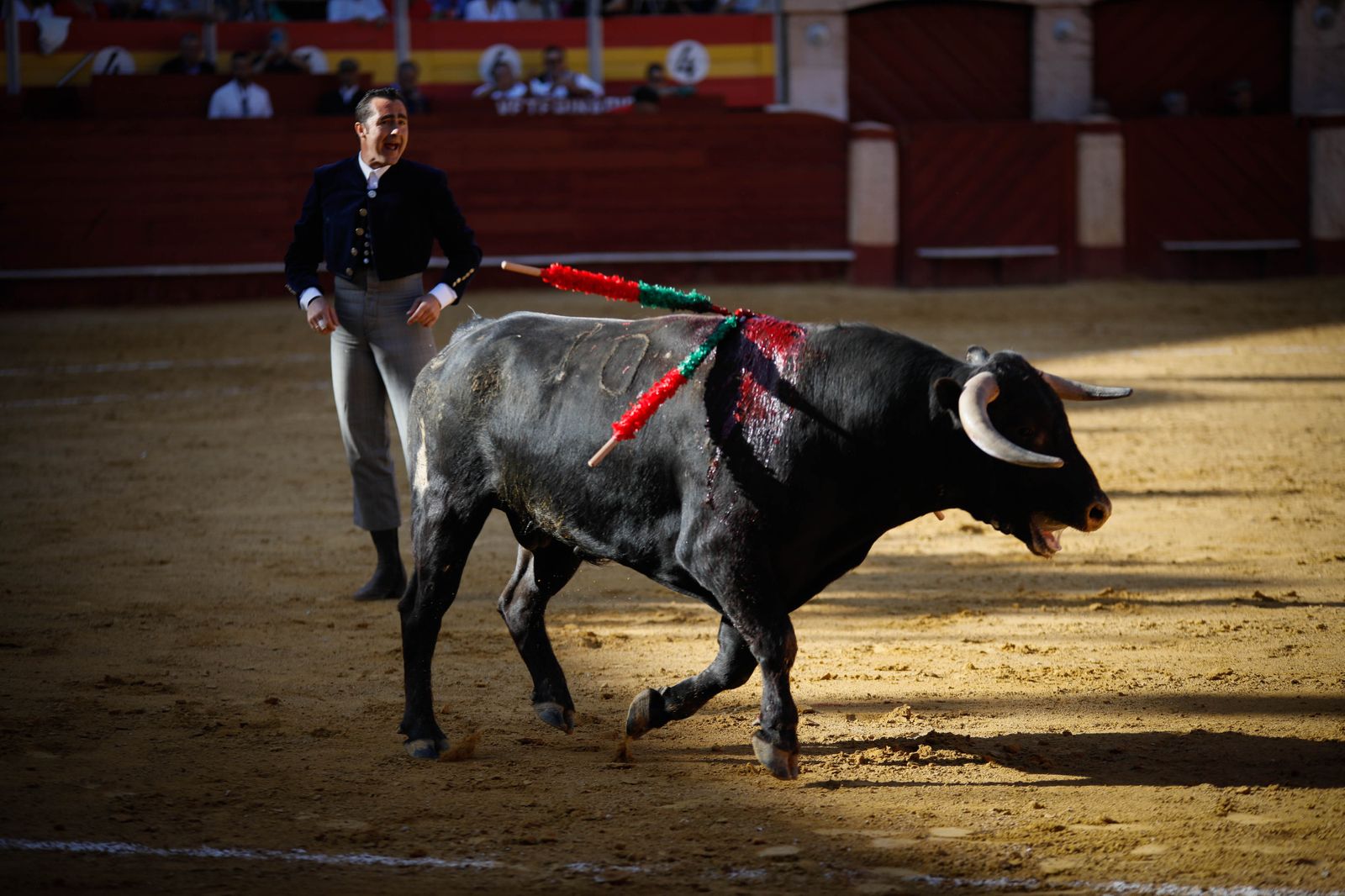 Imágenes del festival mixto lucha contra el cáncer