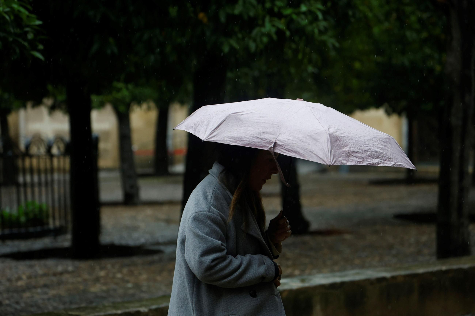 Los últimos coletazos de la borrasca Claudia a su paso por Córdoba