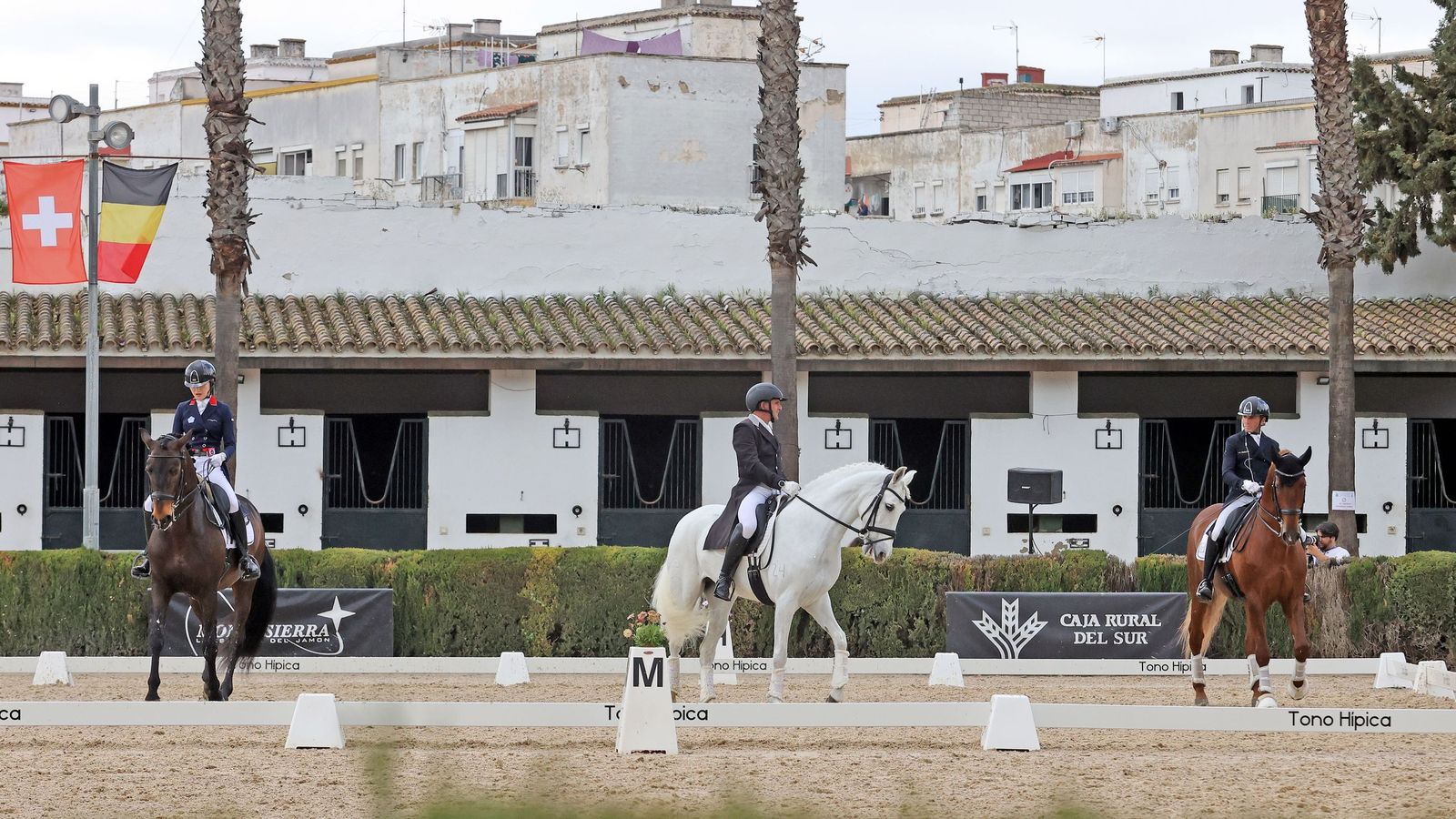Concurso Internacional de Doma Clásica en La Real Escuela de Jerez