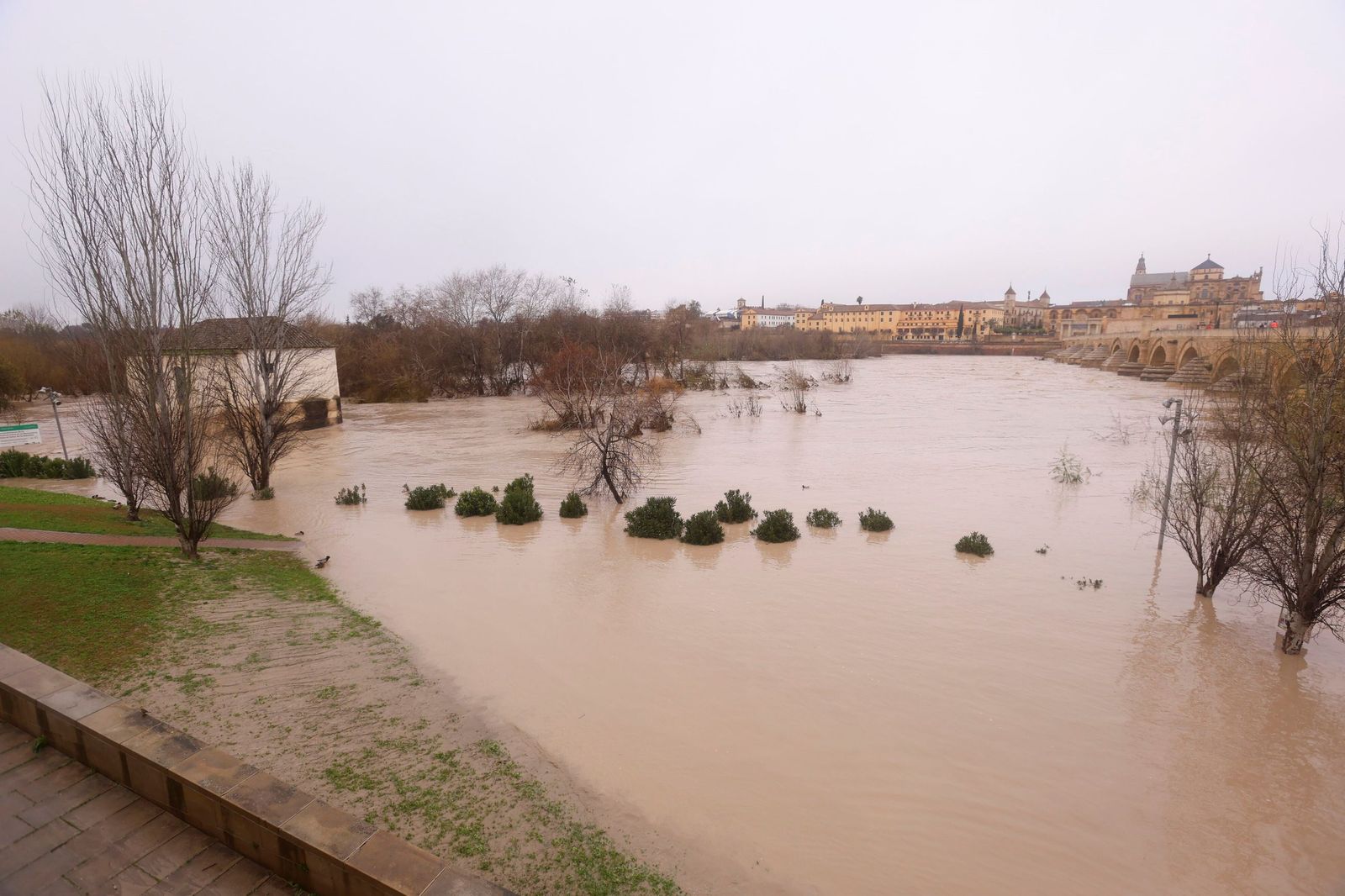 Así pasa el río Guadalquivir este lunes por Córdoba