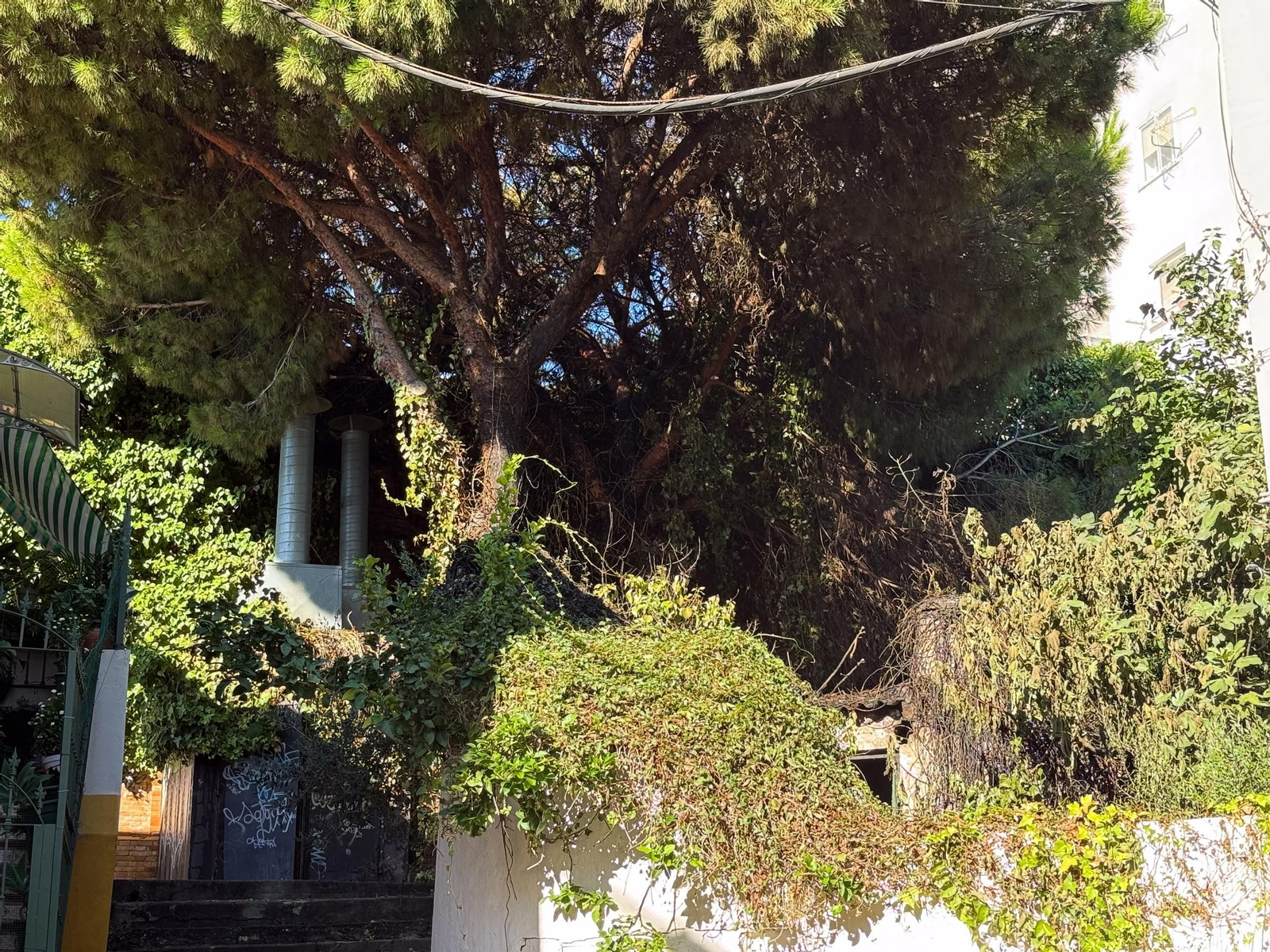 Así ha quedado el callejón quemado de madrugada en la calle Sindicalista Luis Cobos de Algeciras