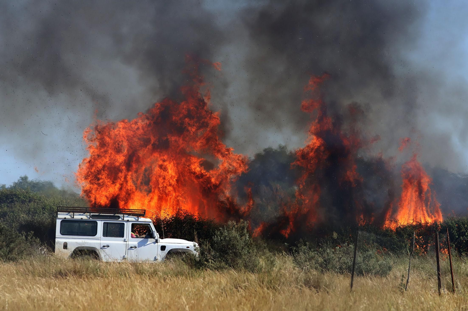 Incendio en Los Mimbrales hace dos años.