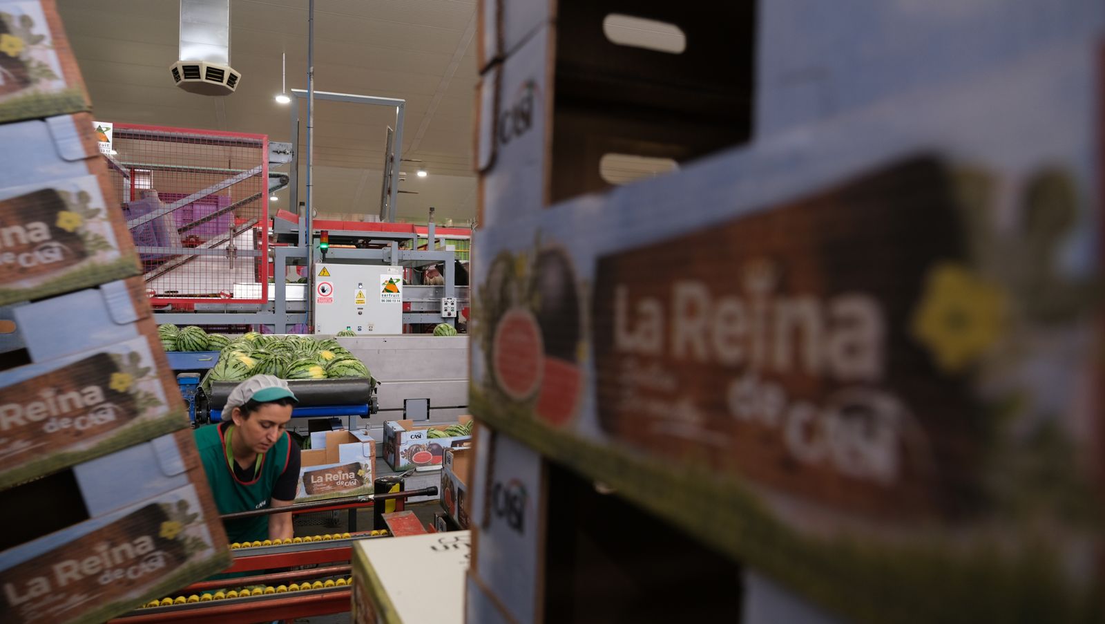 La IA llega a CASI, en imágenes