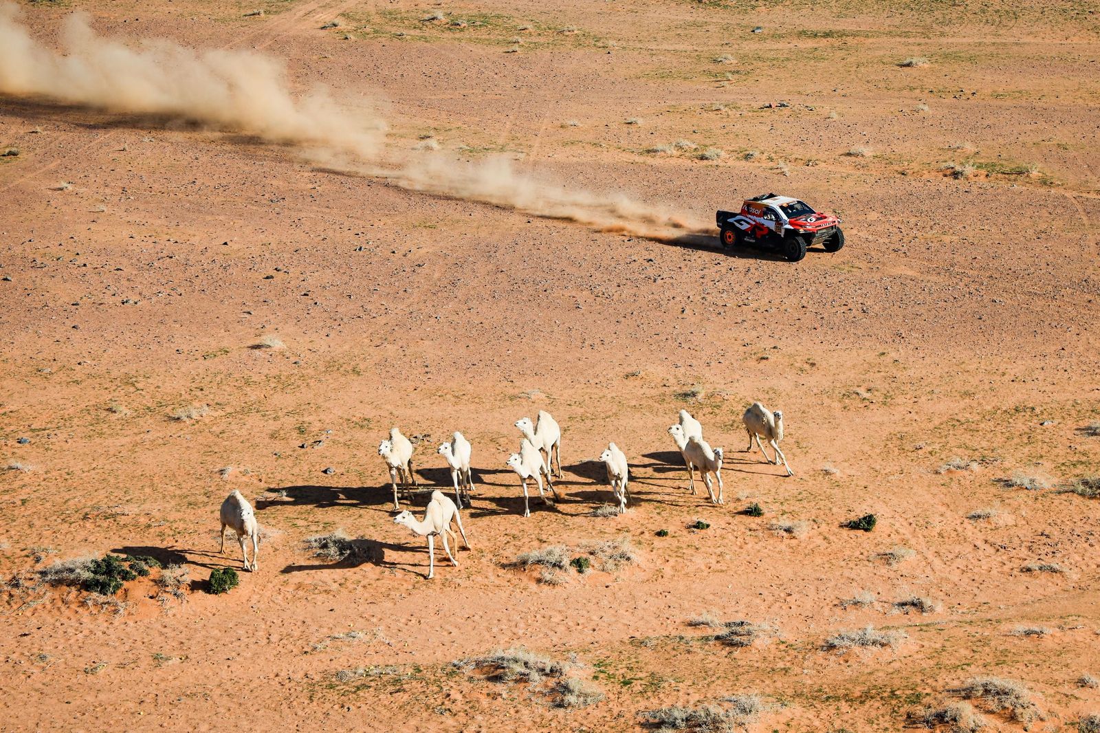 Las mejores fotos del Rally Dakar | Quinta etapa
