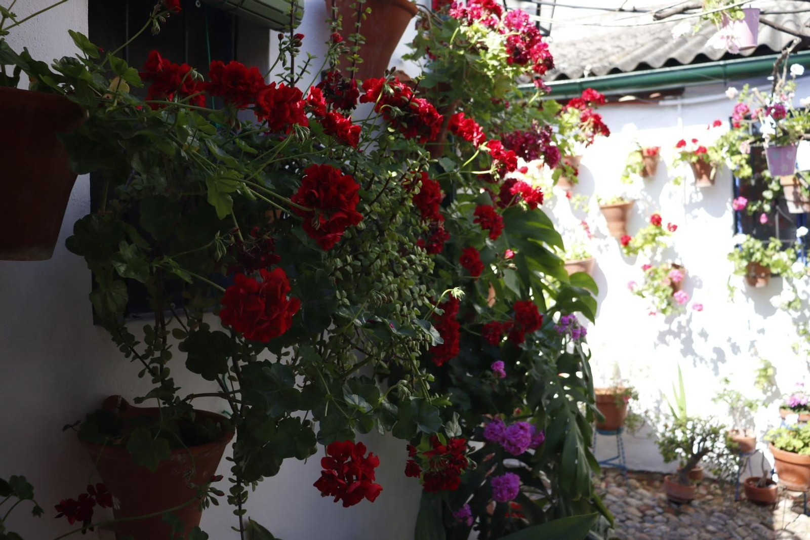 Patio de Marroquíes, 6