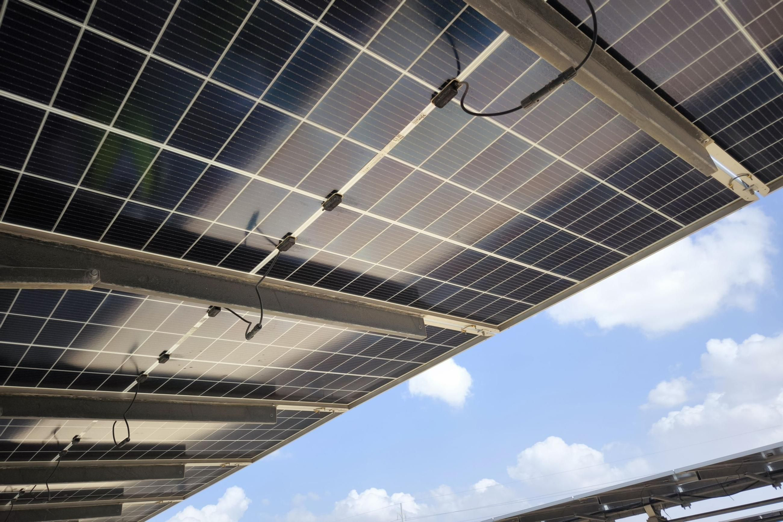 Paneles solares en una planta fotovoltaica.