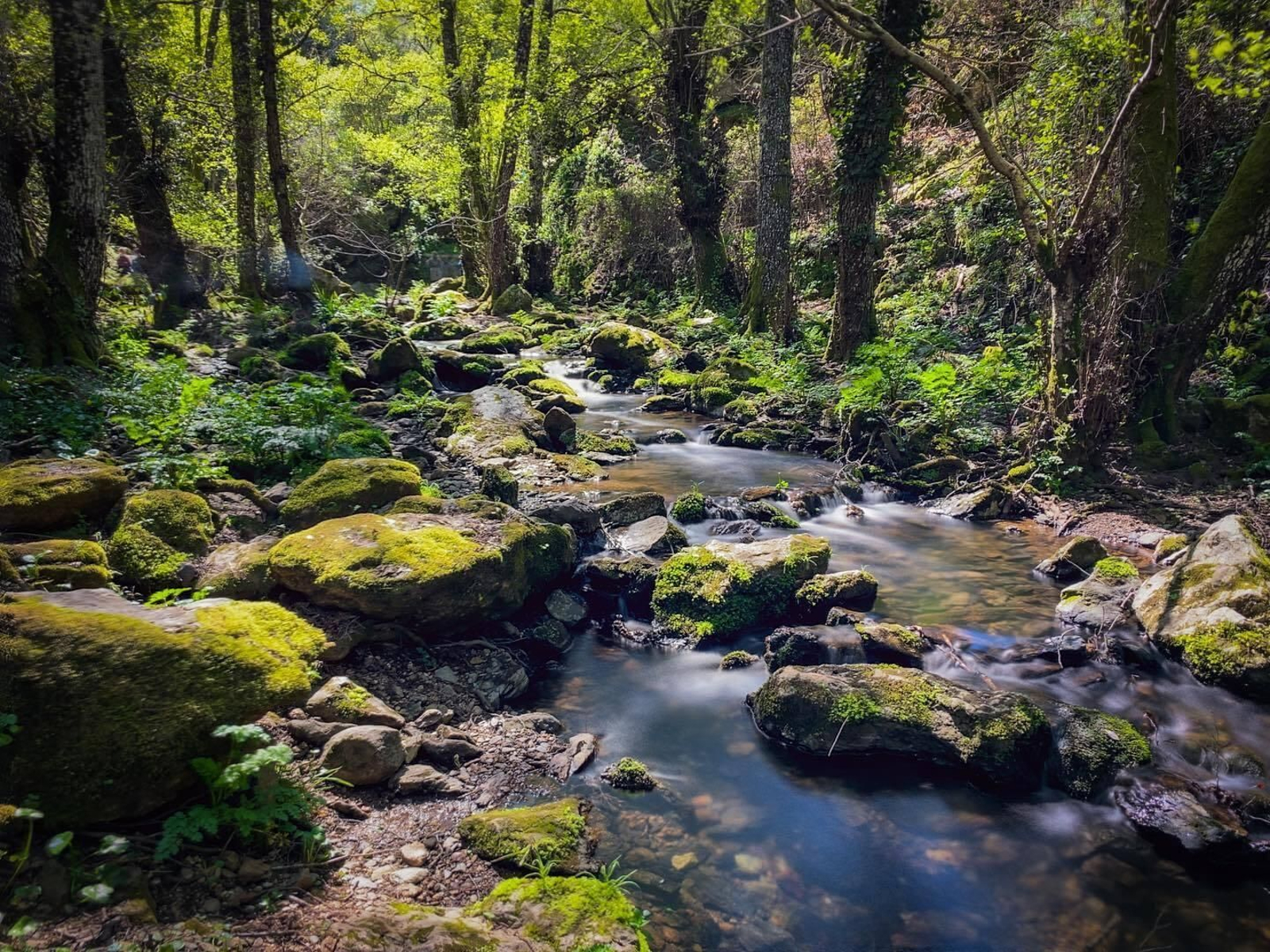 Planes de fin de semana: espectacular ruta de senderismo en Huelva provincia