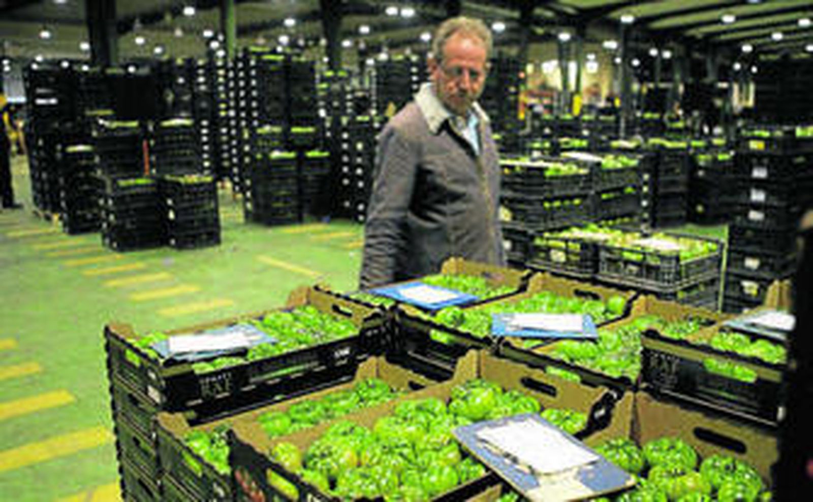 El tomate raf es uno de los productos estrella del campo almeriense, reconocido por los clientes más exigentes.