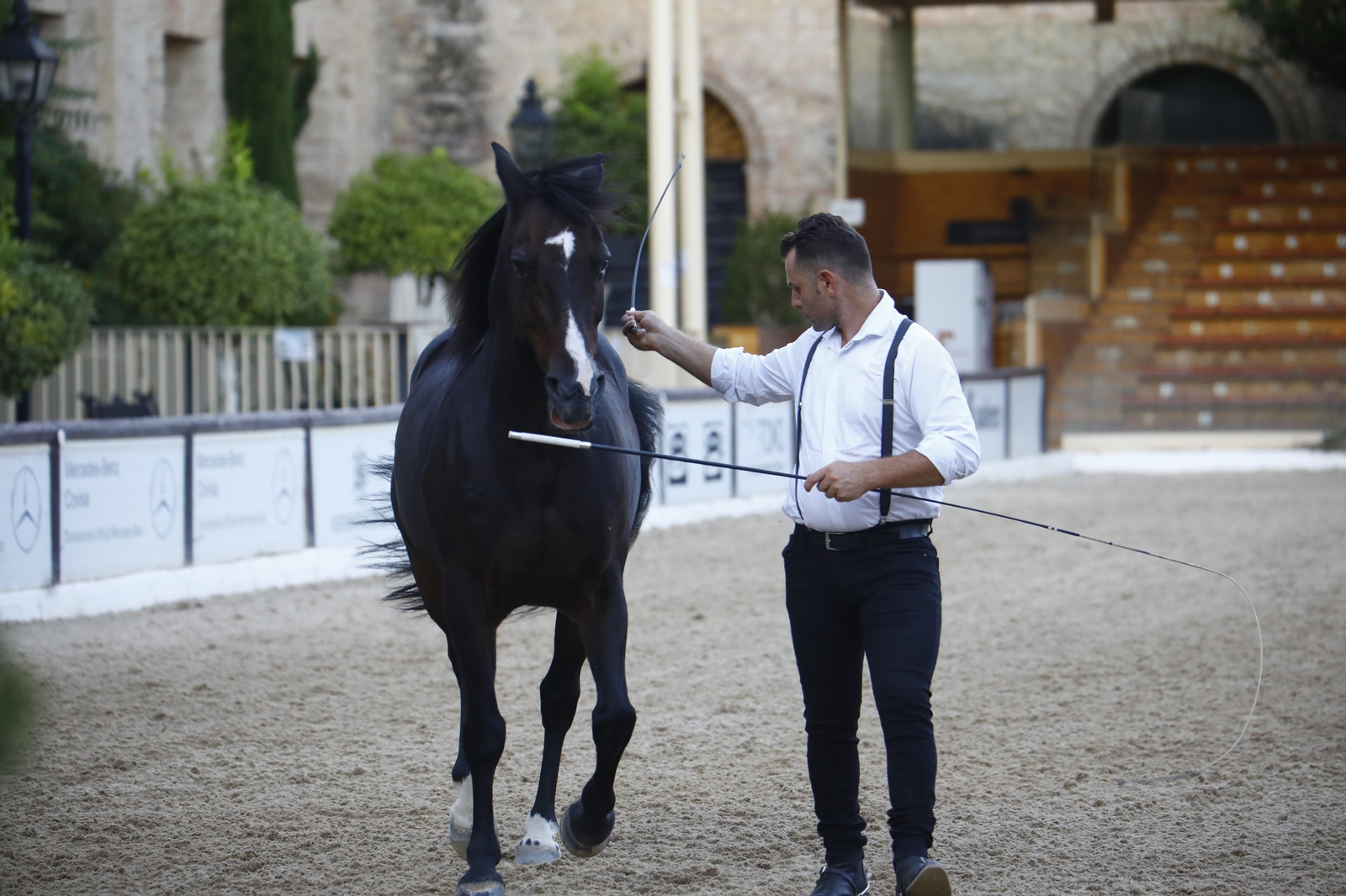 El arranque del XXVII Concurso Morfológico de La Feria del Caballo de Córdoba, en imágenes