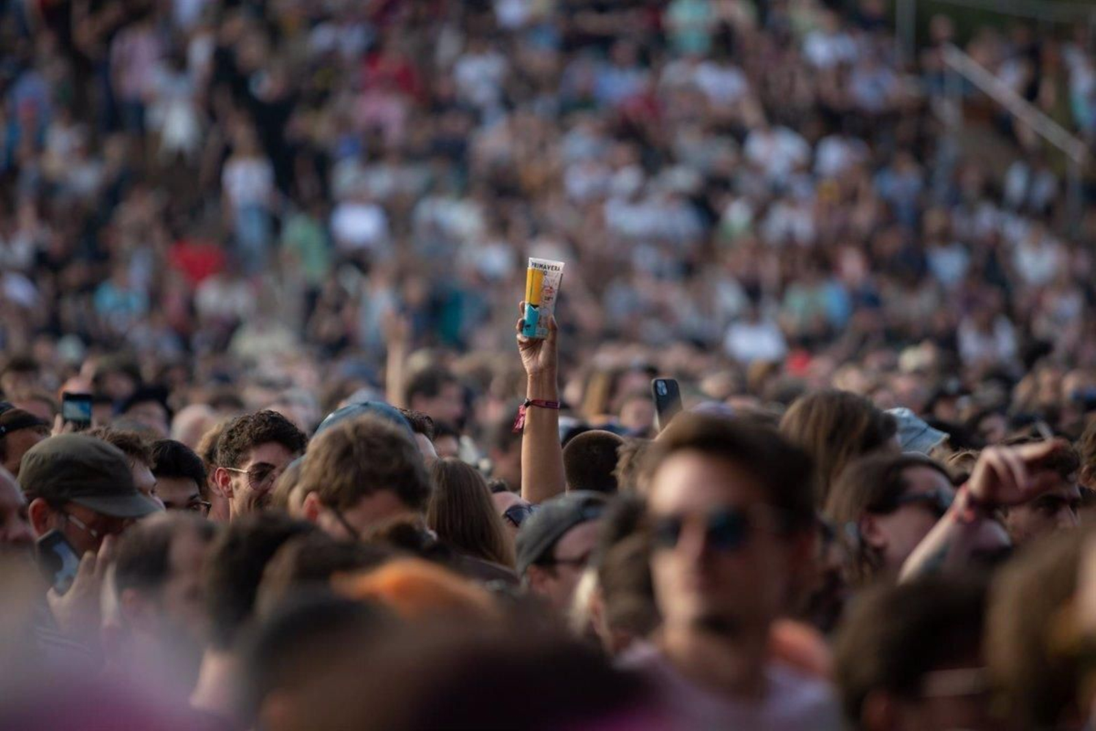 Asistentes a un concierto.