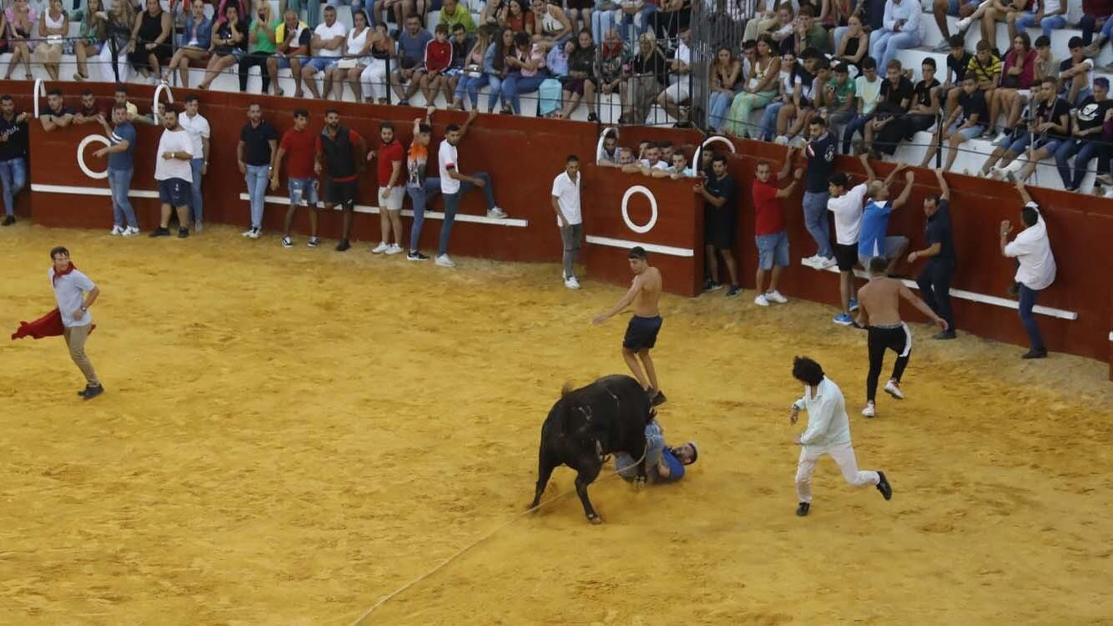 Las fotos del Toro del Aguardiente de San Roque