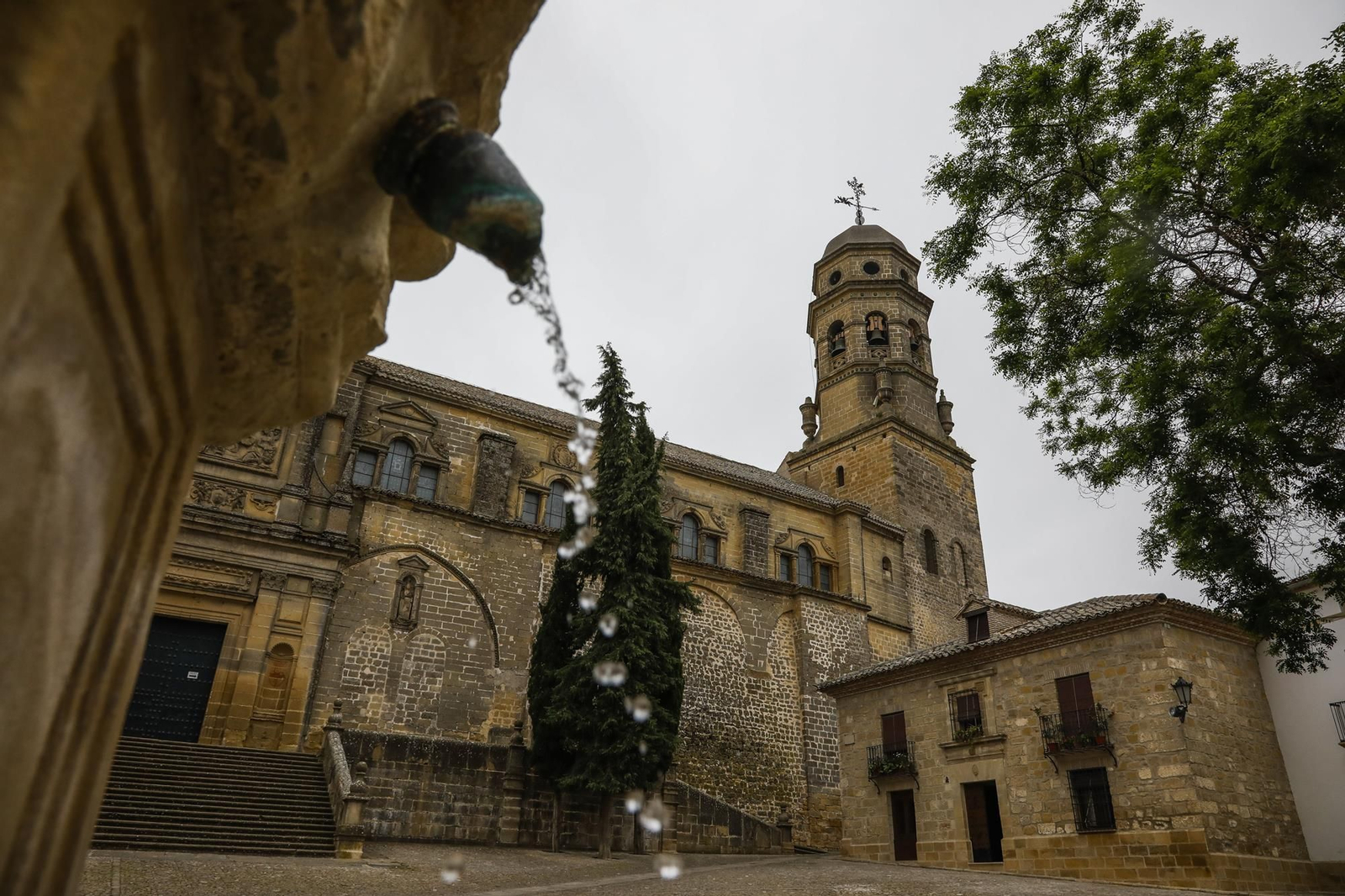 La Catedral de Baeza se ubica en la impresionante Plaza de Santa María.