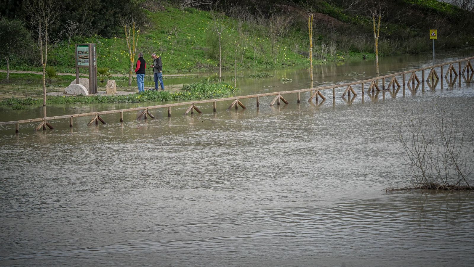 Un día tranquilo en el rio Guadalete, en imágenes