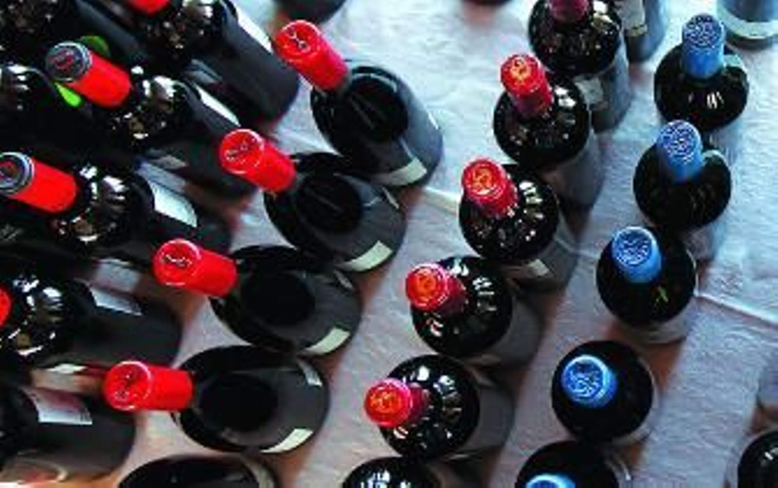 Con los pies en la 'Tierra de Cádiz'