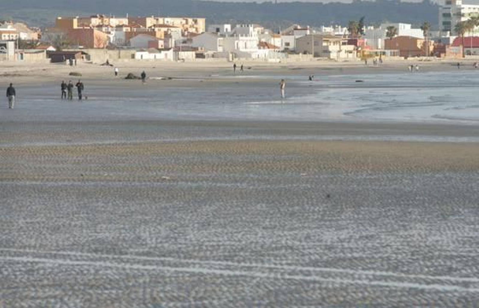 La marea histórica se vivió en las playas del Campo de Gibraltar con mucha espectación, sobre todo en la de Poniente de La Línea y El Rinconcillo de Algeciras./Fotos:Paco Guerrero/Shus Terán/J.M.Quiñones

Foto: Paco Guerrero/J.M.Q./Shus Teran/