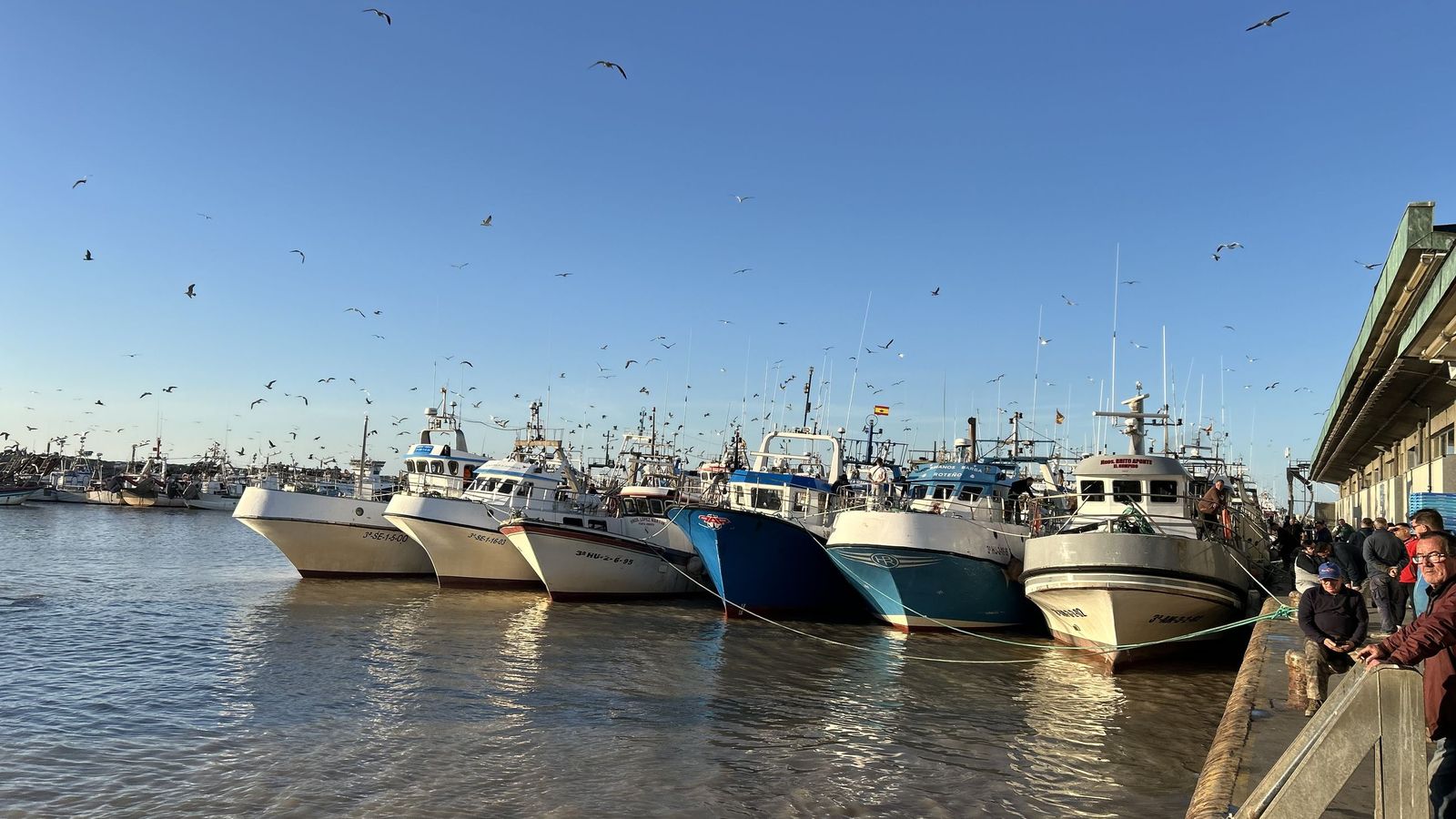 El puerto de Bonanza, en Sanlúcar.