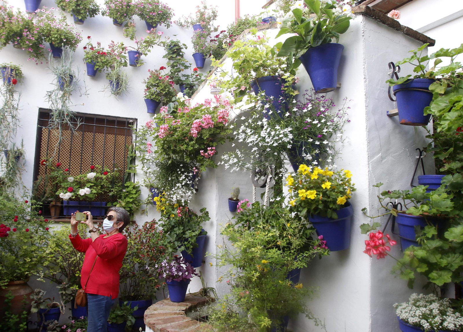 Ruta San Lorenzo de los Patios de Córdoba, en imágenes
