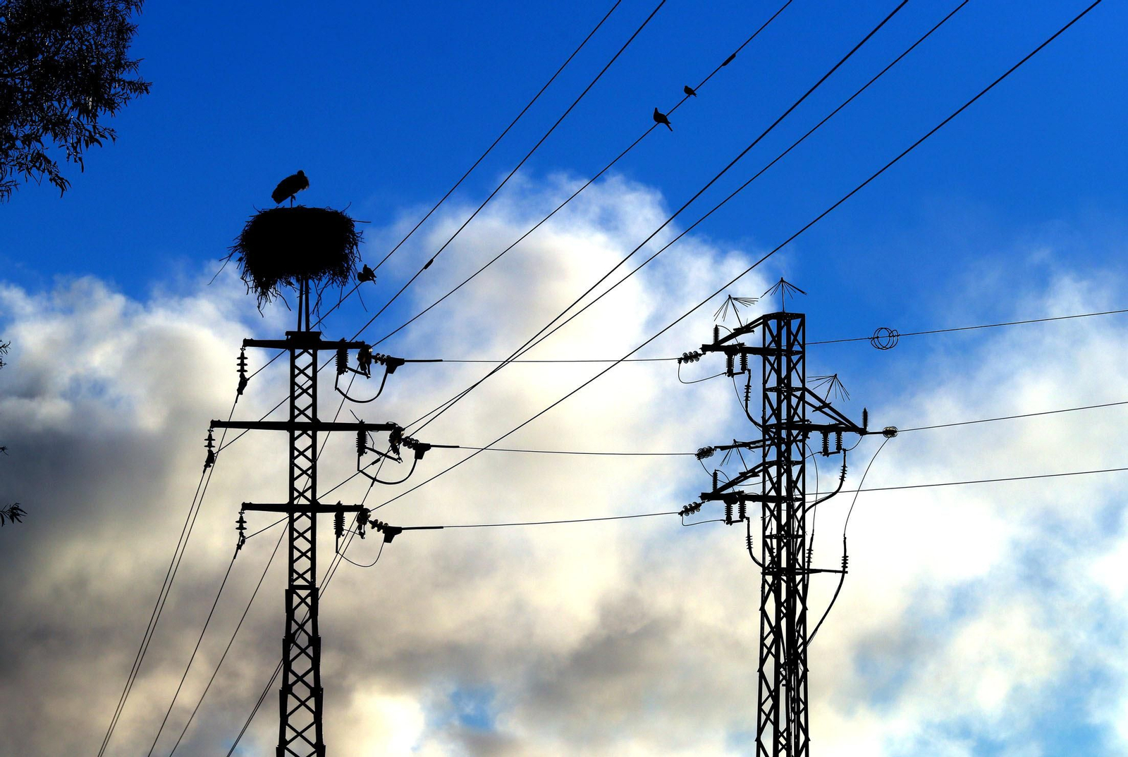 Las imágenes mas destacadas del domingo 3 de Enero