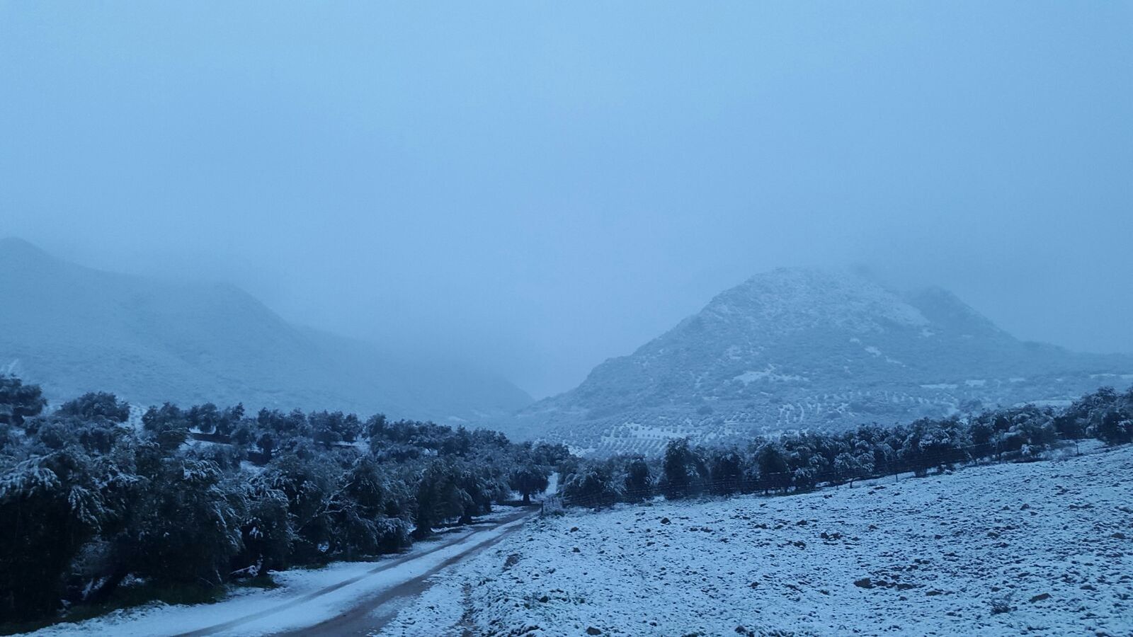 Al fondo, el peñón de Algámitas.