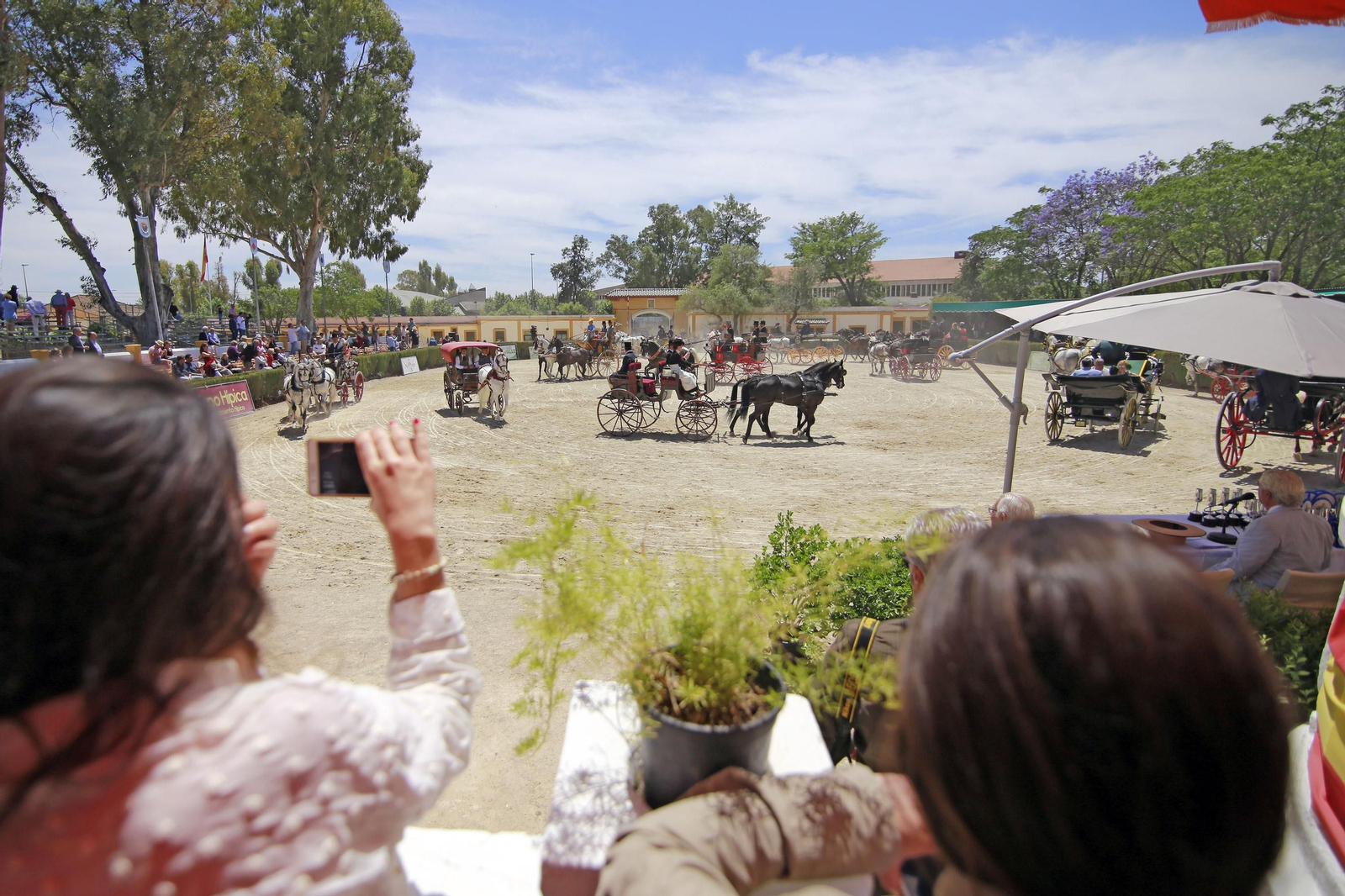 Trofeos de los concursos de Enganches y Morfológicos en la Feria de Jerez