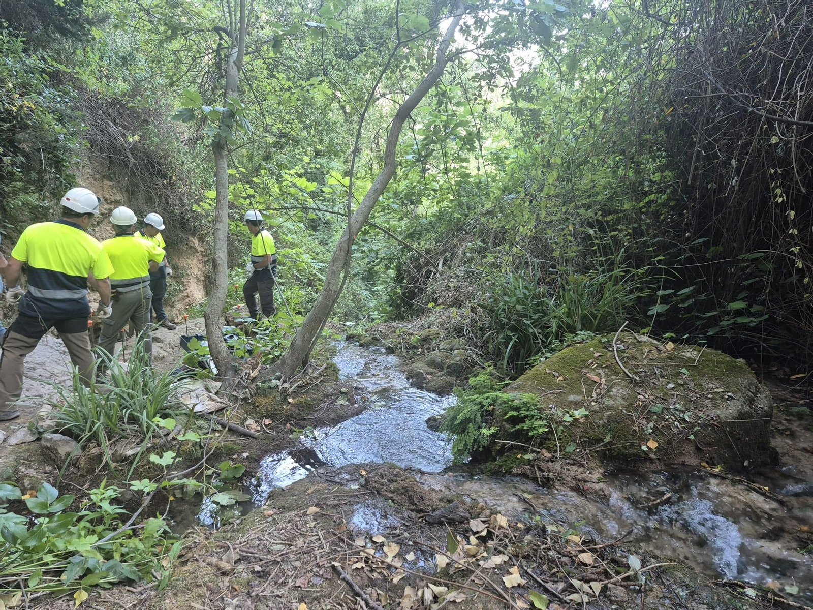 Imagen de las actuaciones realizadas en el río Cerezuelo.