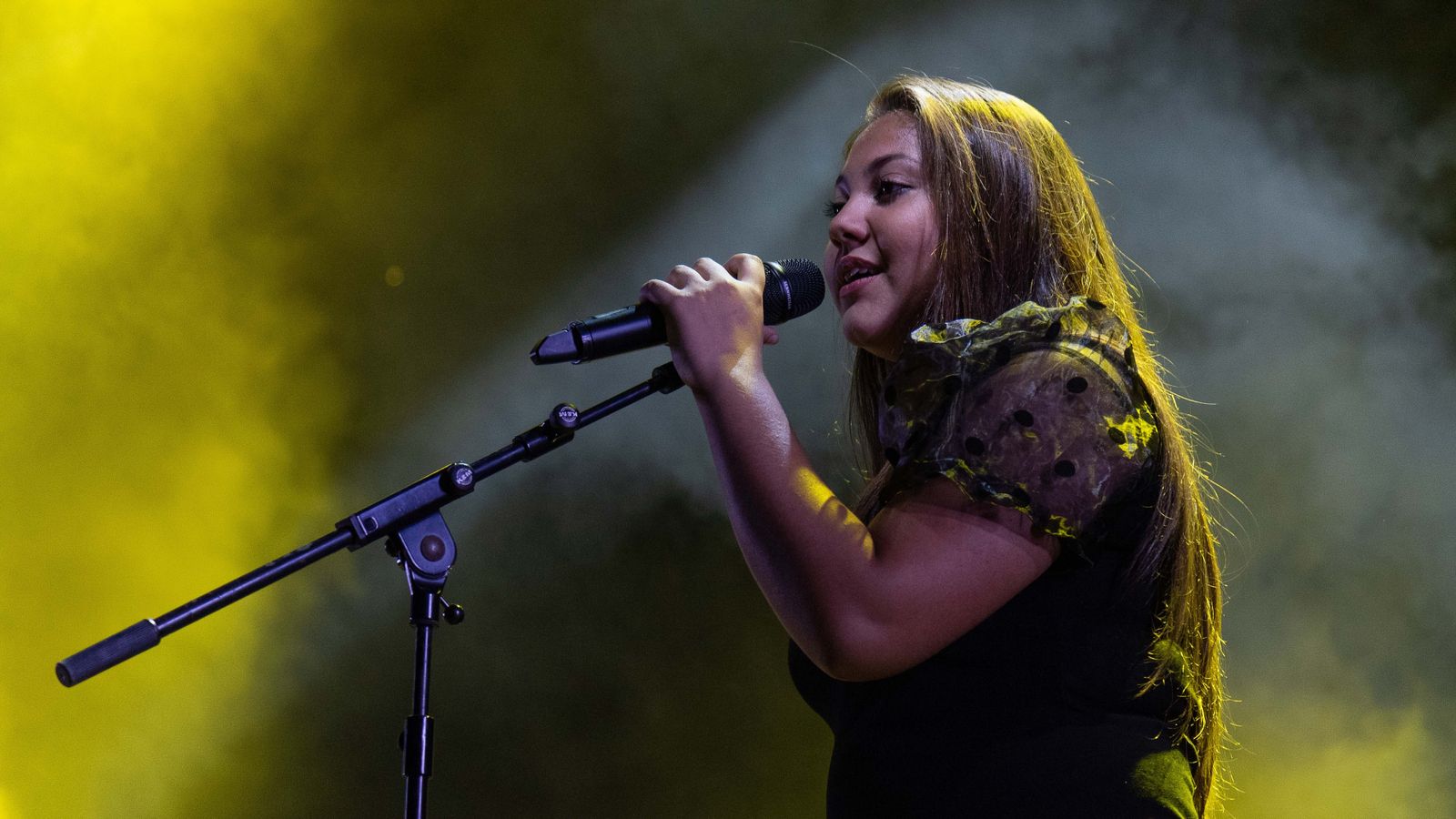 Noche flamenca en Algeciras