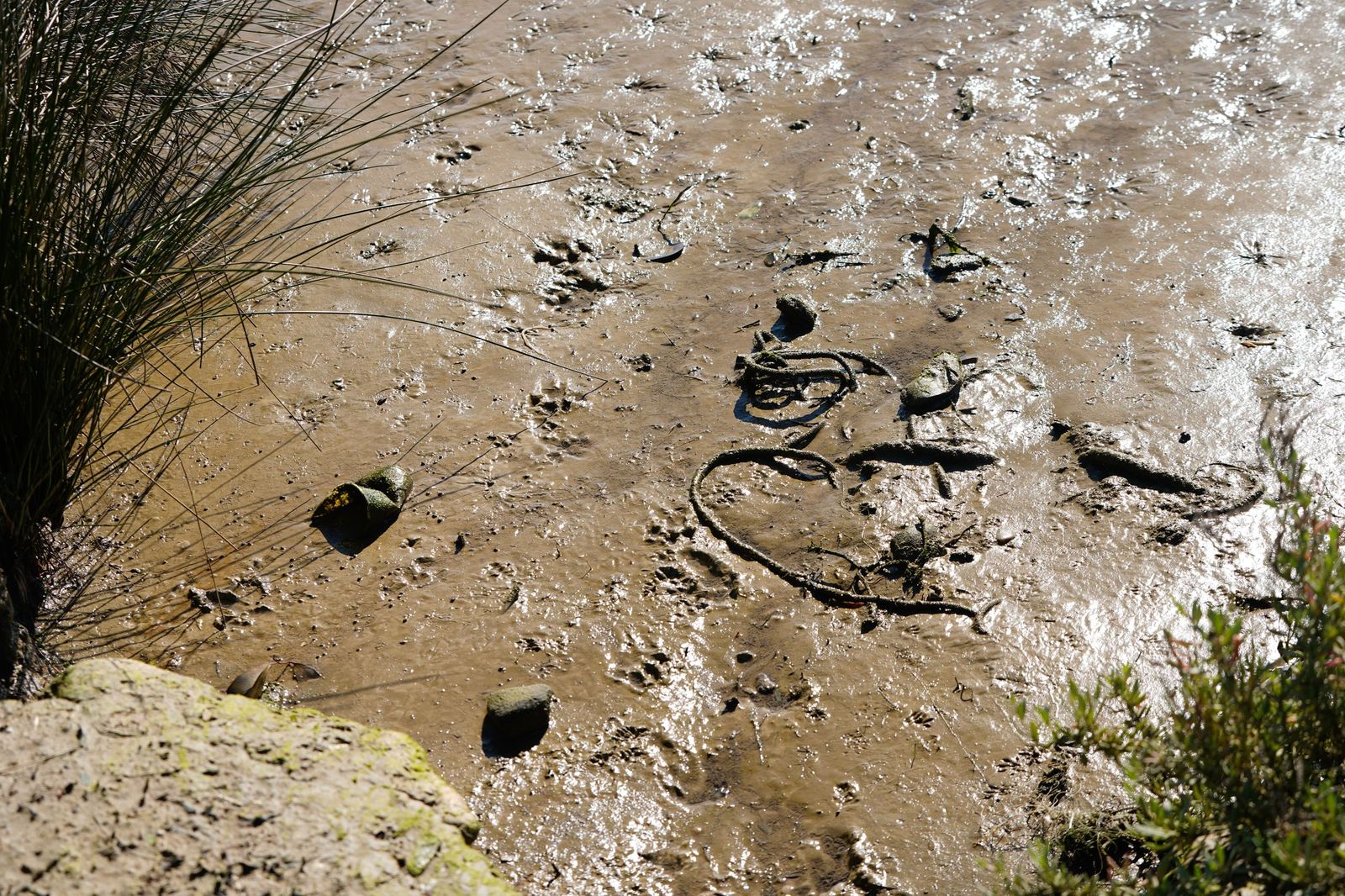 Fotos de la contaminación en el paraje natural marismas del Río Palmones