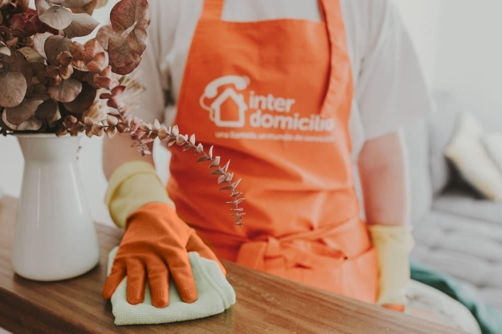 Nueva Agencia de Servicios domésticos, Interdomicilio en Málaga Oeste