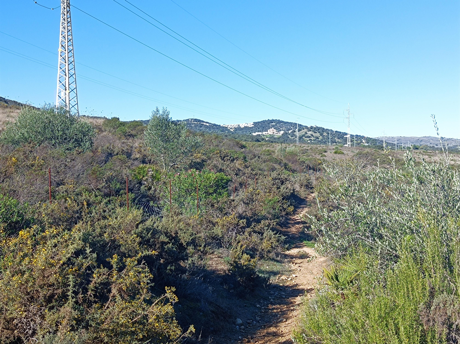 Ruta de Las Cañadillas