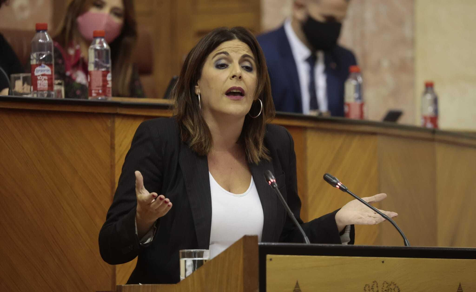 Ángeles Férriz, este miércoles en el Parlamento.