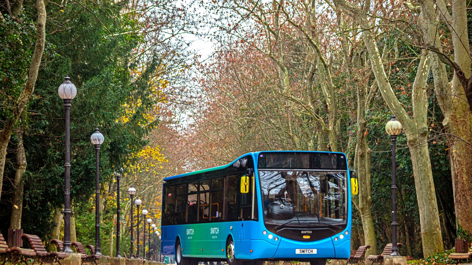 En su gama de productos también figura el Metrodecker, con dos pisos; o el Solo de hasta 9,9 m de largo.; además de diferentes LCV chasis-cabina o pick-up.