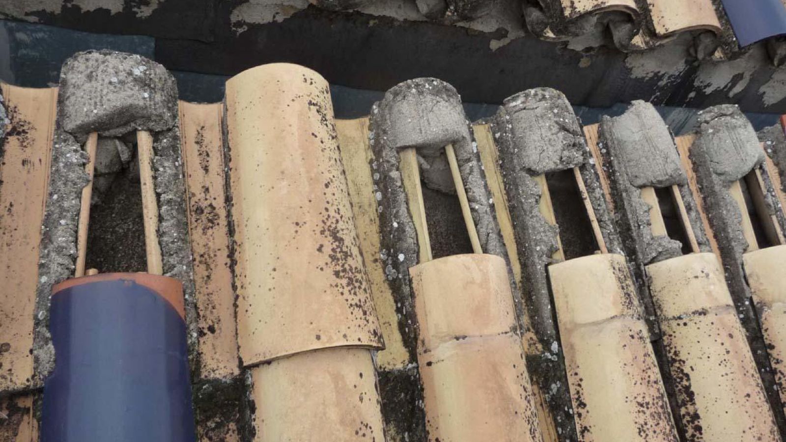 Estado de parte de las tejas de la cubierta