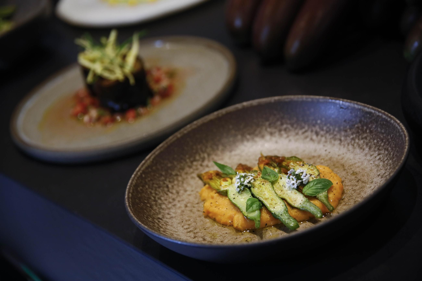 Las imágenes de una nueva variedad de berenjena en Almería