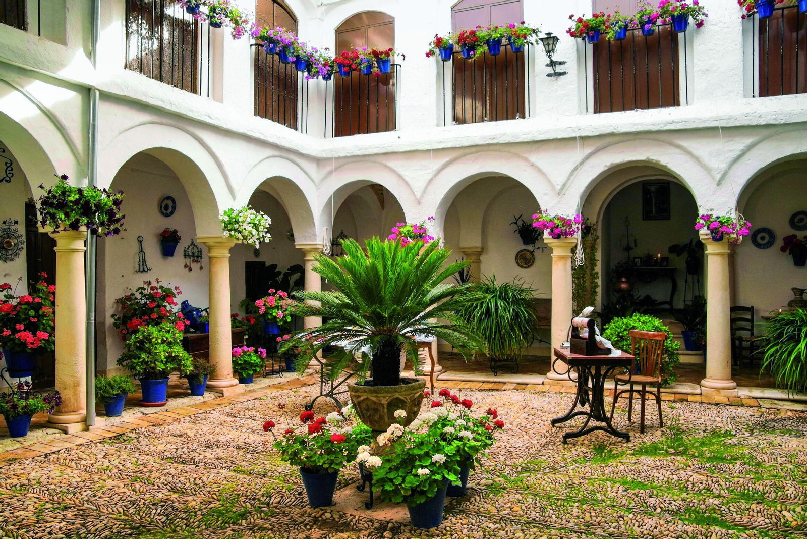 Patios y Rincones típicos de la Campiña Este: Espejo y Nueva Carteya Patios y Rincones típicos de la Campiña Este: Espejo y Nueva Carteya