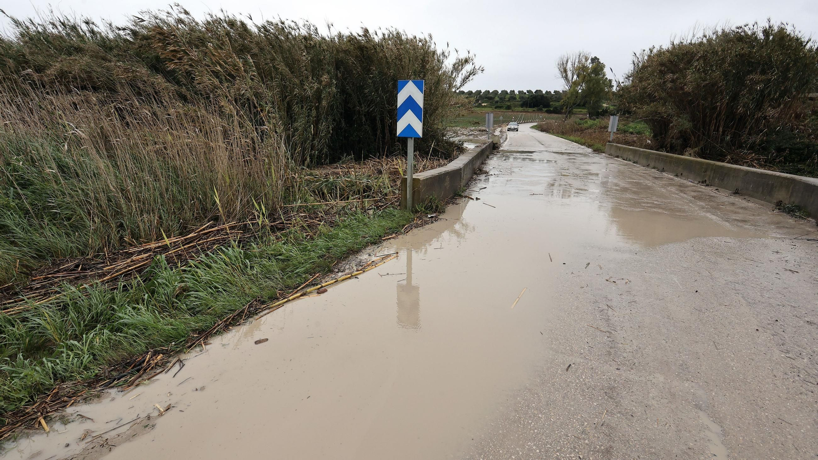 Imágenes del temporal de viento y lluvia en Jerez