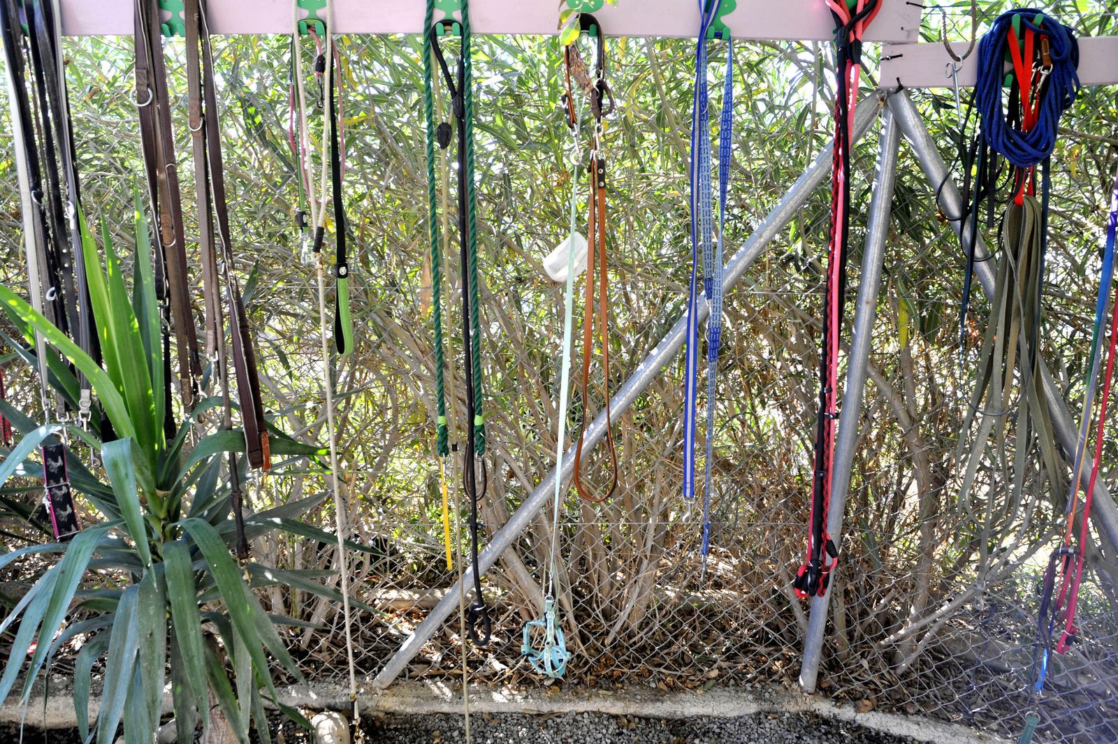 Centro de Animales Abandonados y Perdidos de Villamartín.
