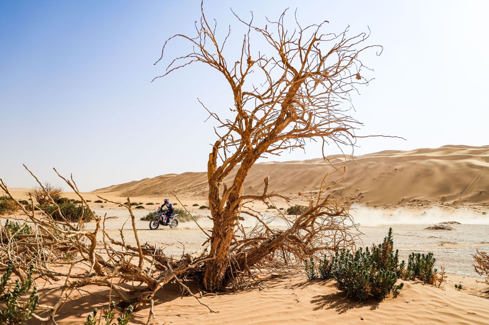 Las mejores fotos del Rally Dakar | Séptima etapa