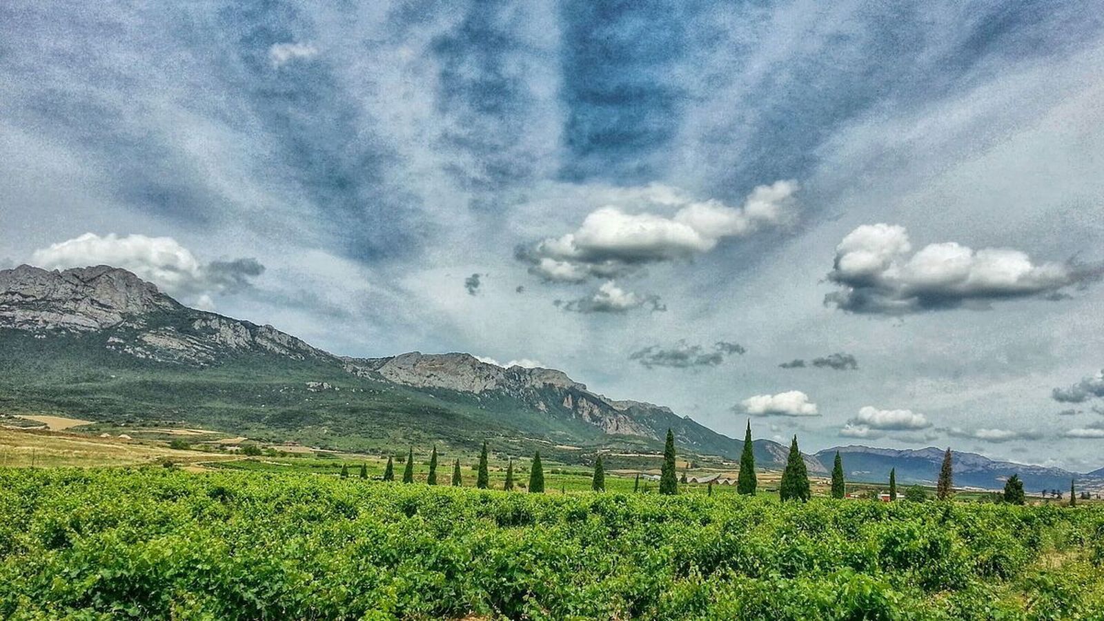 Vinedos-Rioja-Alavesa_1469263185_122071778_1200x675