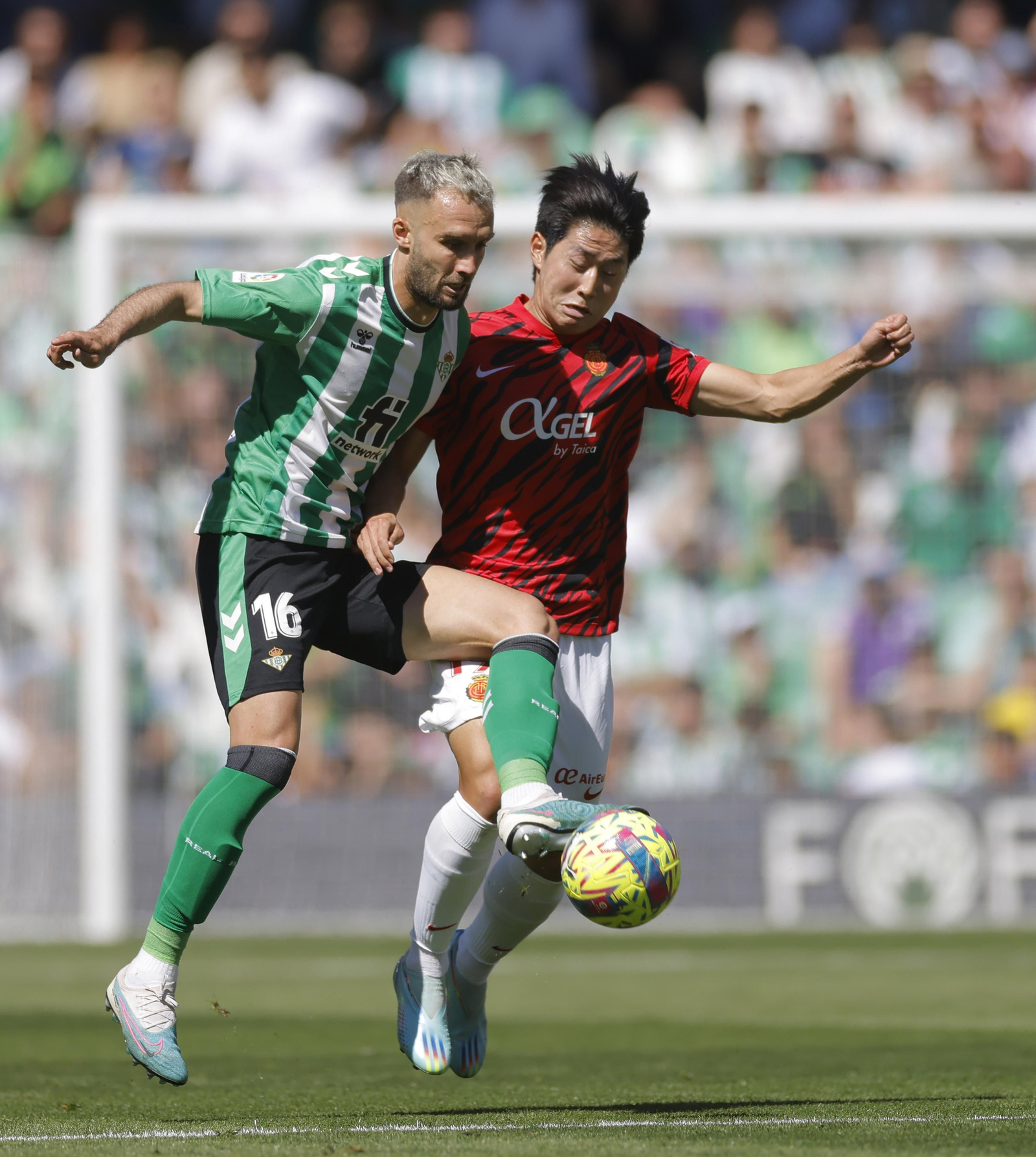 Las Imágenes del Betis-Mallorca