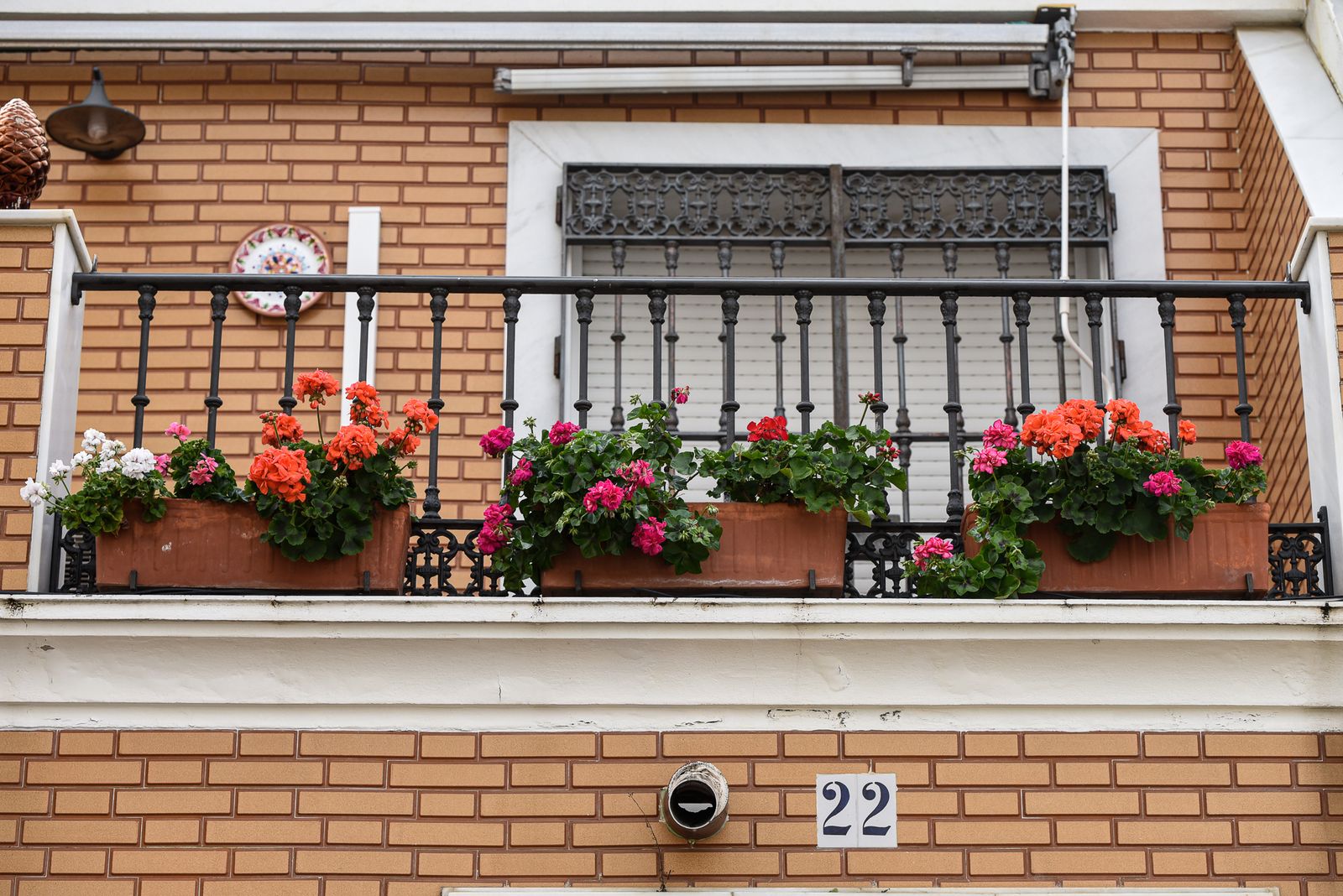 Imágenes de la mañana del domingo 12 de febrero en Huelva