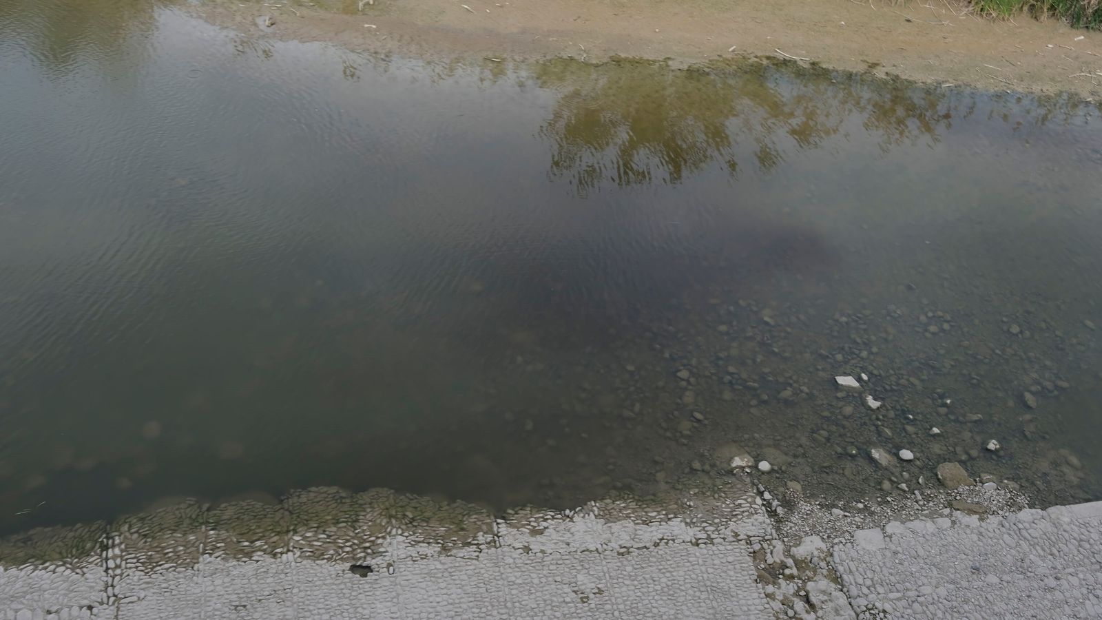 Mancha en el Guadalquivir.