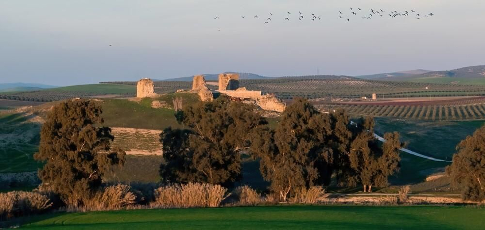 Paraje de Montemayor donde se ubicará una macroplanta solar.