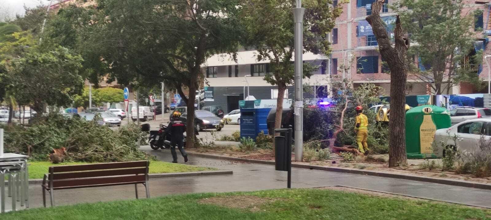 La Borrasca Aline a su paso por Jaén, en imágenes