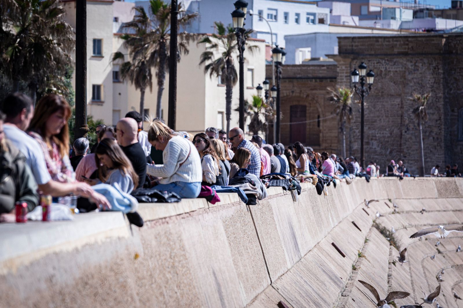 Búscate en la Gambada Solidaria Popular 2025 en Cádiz