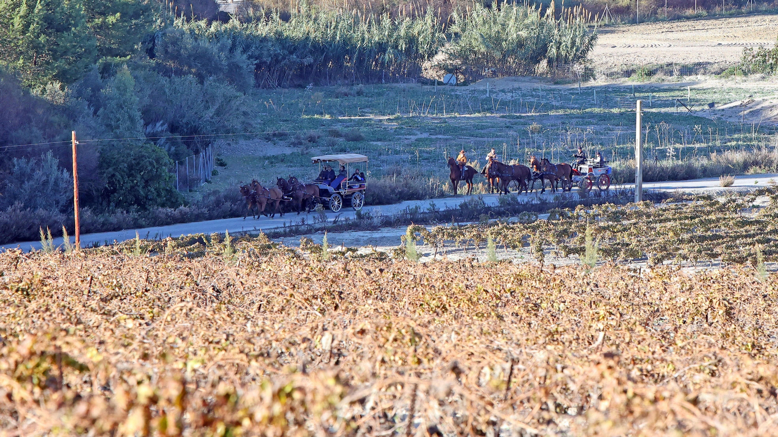 II Ruta Viñas de Jerez