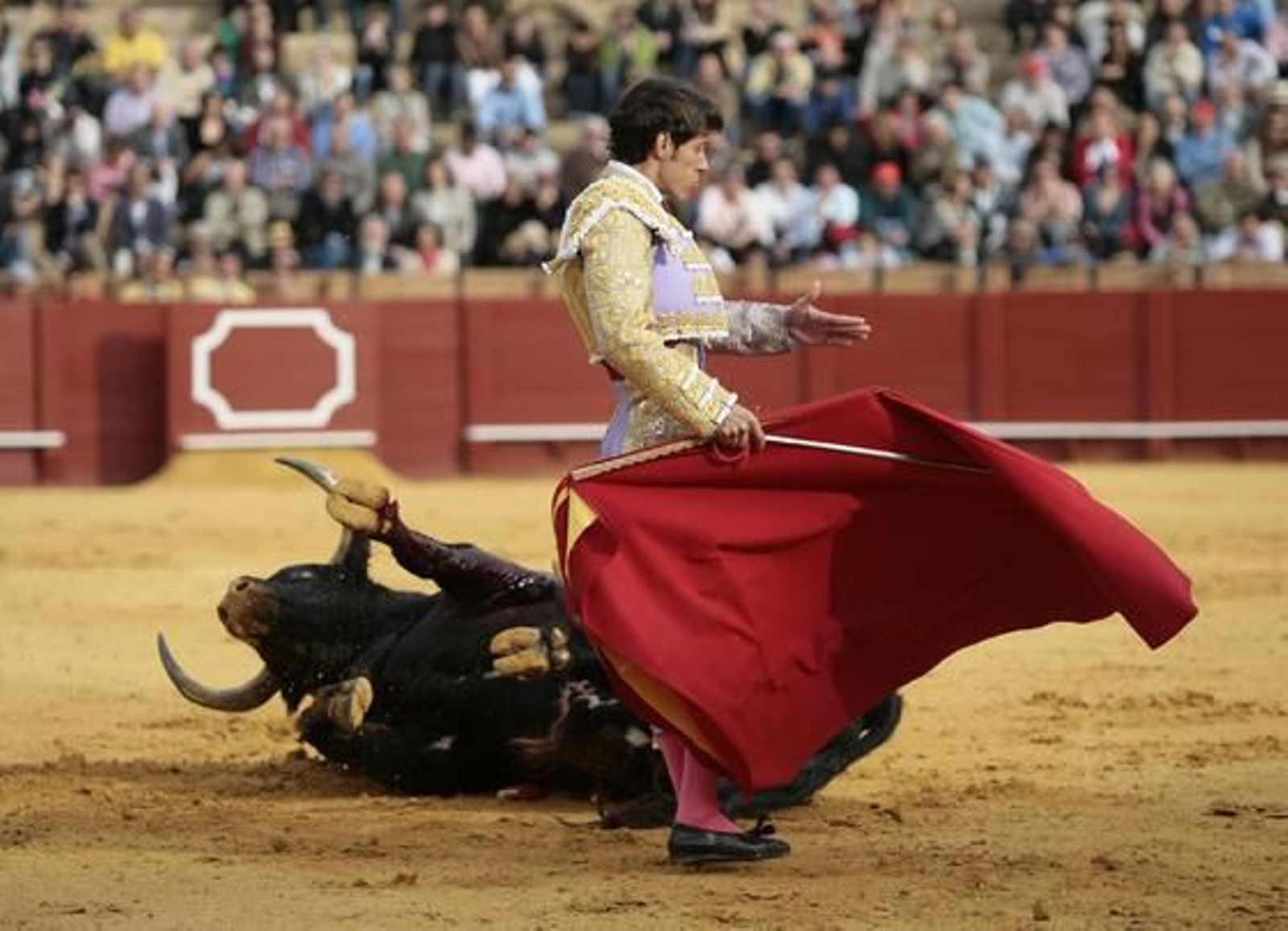 Antonio Nazaré con el segundo toro de la tarde.

Foto: Juan Carlos Muñoz