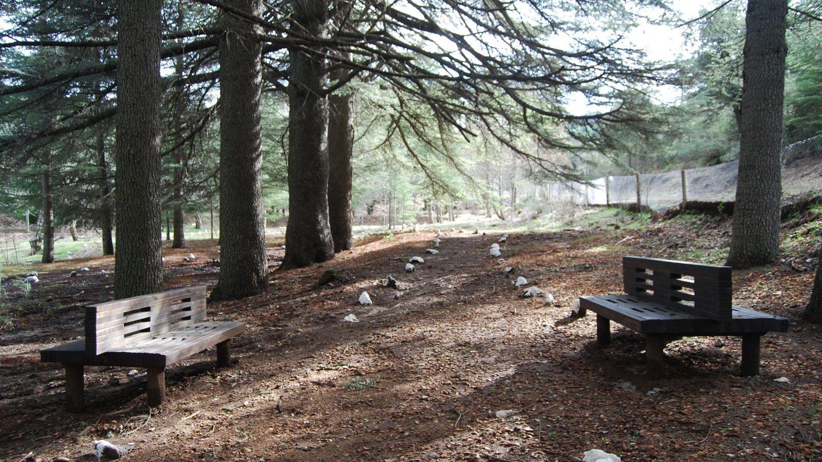 Itinerario botanico de La Alfaguara, en Alfacar